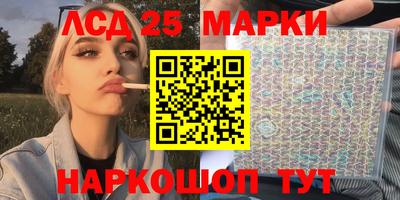 прущие грибы Будённовск