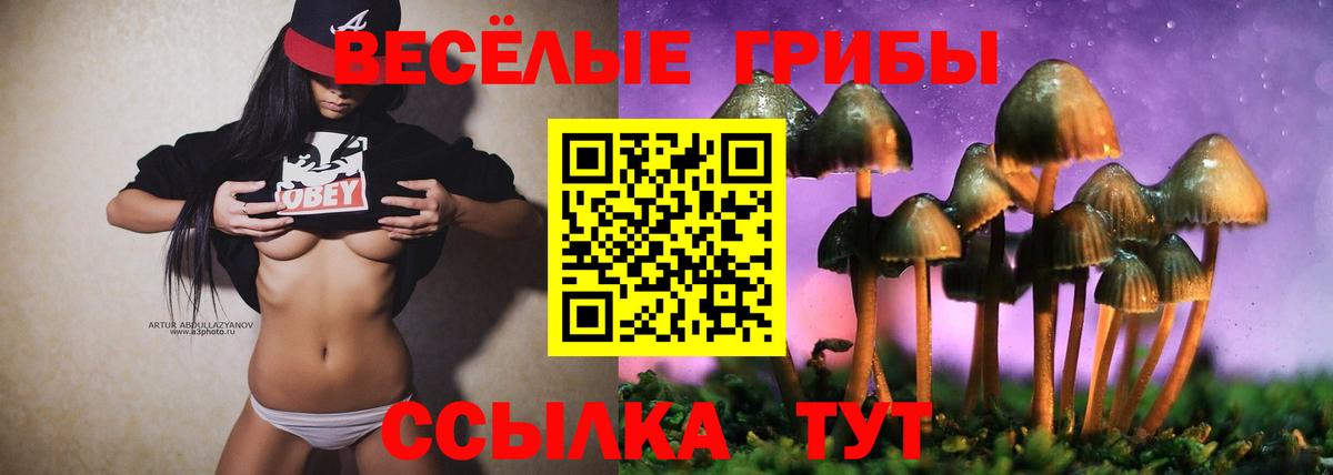 Галлюциногенные грибы мицелий Пенза