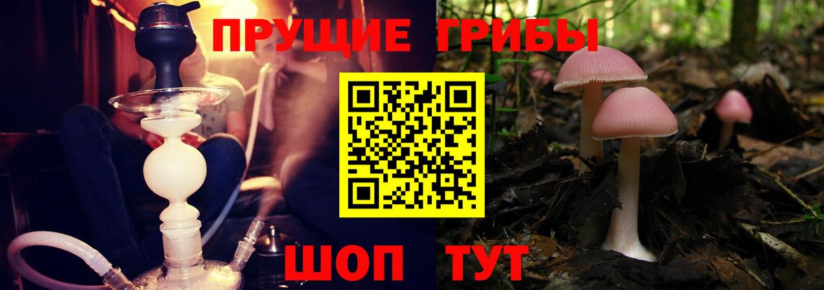 Галлюциногенные грибы MAGIC MUSHROOMS  Вход с VPN  Пенза 